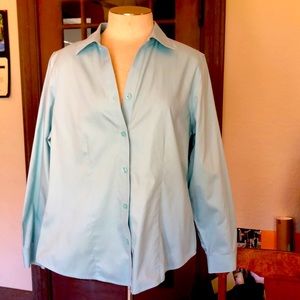 Teak Wrinkle resistant Button down shirt